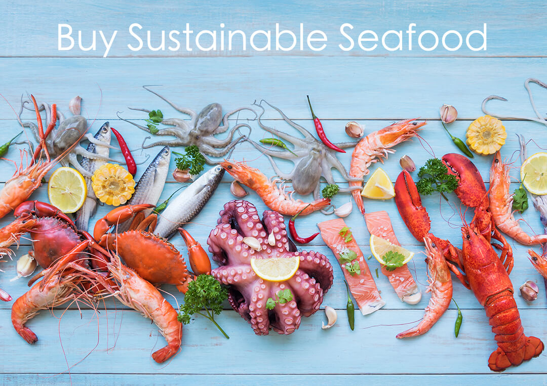 sustainable seafood