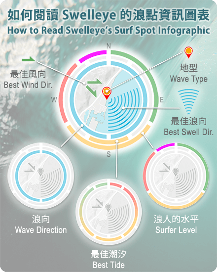 swelleye infographic