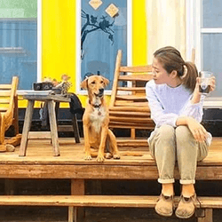 swelleye surf spot infographic