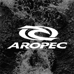 swelleye surf spot infographic