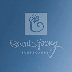 swelleye surf spot infographic