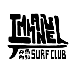 swelleye surf spot infographic