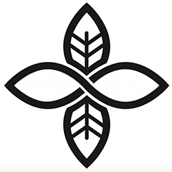 swelleye surf spot infographic