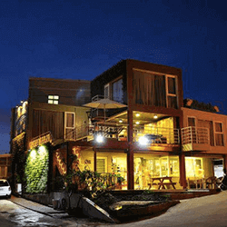 swelleye surf spot infographic