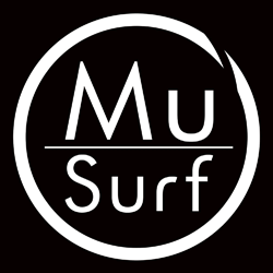 swelleye surf spot infographic