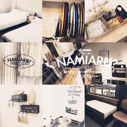 swelleye surf spot infographic