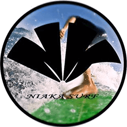 swelleye surf spot infographic