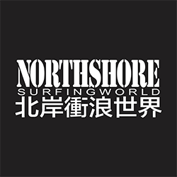 swelleye surf spot infographic