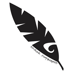 swelleye surf spot infographic