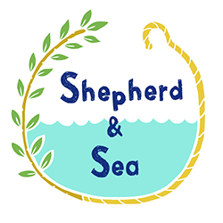 swelleye surf spot infographic