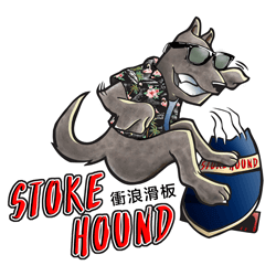 swelleye surf spot infographic