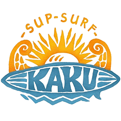 swelleye surf spot infographic