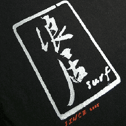 swelleye surf spot infographic