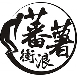 swelleye surf spot infographic