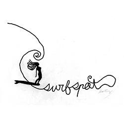 swelleye surf spot infographic