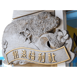 swelleye surf spot infographic