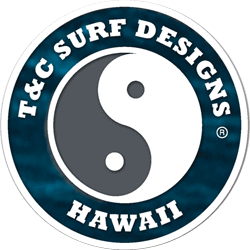 swelleye surf spot infographic