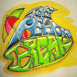 swelleye surf spot infographic