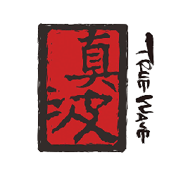 swelleye surf spot infographic