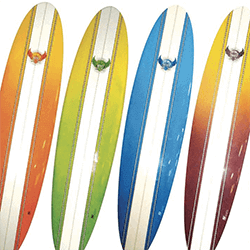 swelleye surf spot infographic